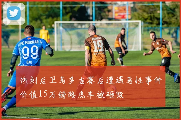 热刺后卫乌多吉赛后遭遇恶性事件价值15万镑路虎车被砸毁