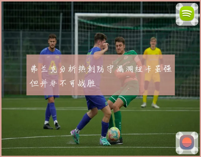 弗兰克分析热刺防守漏洞纽卡虽强但并非不可战胜